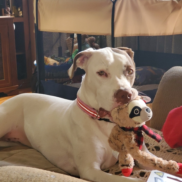 Meet your Posher, Monica aka M.C.Hu$.T.L.eCity - Picture 9 of 16